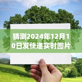 2024年12月17日 第11页