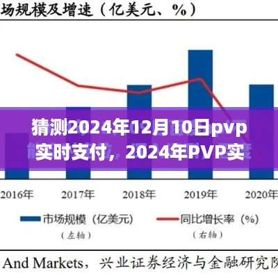 2024年PVP实时支付趋势展望，深度分析与观点阐述