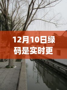 北京绿码实时更新特色小店揭秘，小巷深处的惊喜之旅