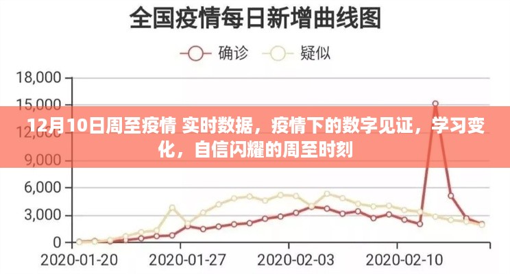 周至疫情实时数据见证下的学习变化与自信闪耀时刻（12月10日）