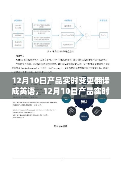 12月10日产品实时变更的翻译策略，探讨利弊与观点阐述