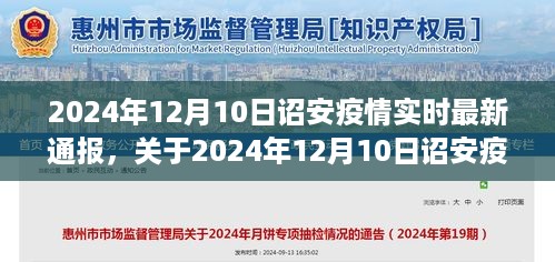 最新通报，诏安疫情动态及应对指南（2024年12月10日）