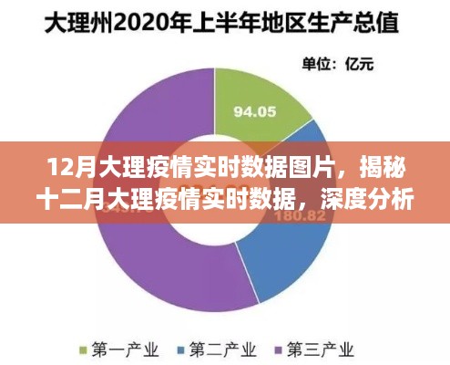 揭秘十二月大理疫情实时数据深度分析与科普解读