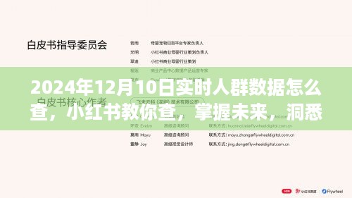 小红书教你查实时人群数据，掌握未来趋势，洞悉人群画像——2024年12月10日实时人群数据查询教程