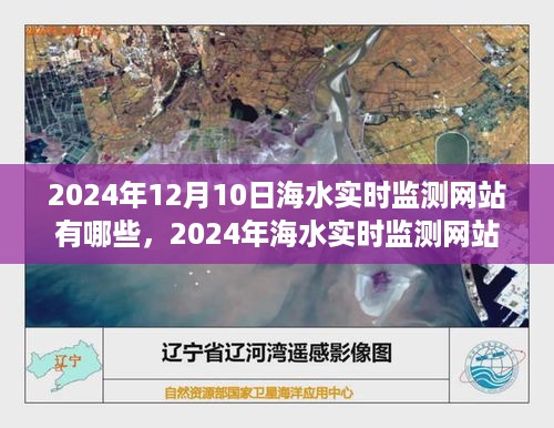 2024年海水实时监测网站全面解析，实时数据监测与未来展望