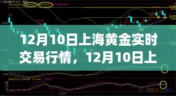 12月10日上海黄金实时交易行情详解与操作指南