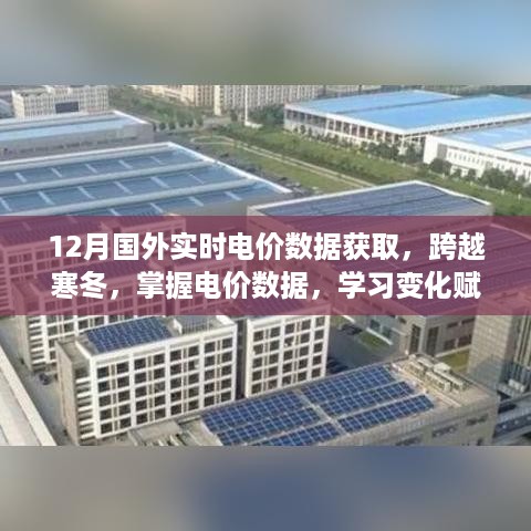 跨越寒冬，掌握实时电价数据，学习变化赋能自信与力量——国外十二月电价数据解析