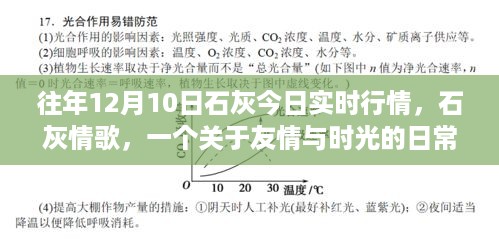 友情与时光下的石灰情歌，往年行情与日常故事回顾