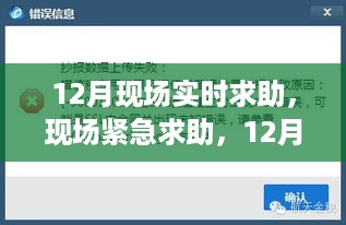 12月现场求助指南，常见问题及应对策略