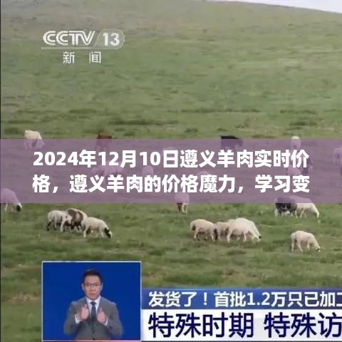 遵义羊肉价格魔力，学习变化，自信成就梦想之路（实时更新至2024年12月10日）