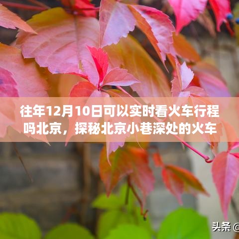 探秘北京火车轨迹追踪小屋，追寻火车浪漫行程的实时体验（12月10日篇）