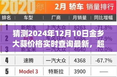 金乡大蒜未来价格走势探寻，智慧之旅与自我成长之路（2024年12月10日最新实时查询）