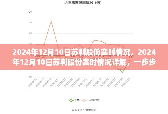 建议，掌握最新动态，苏利股份实时情况详解（2024年12月10日实时更新）