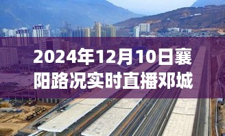 邓城大道直播，襄阳路的日常温情与直播故事（实时路况直播）