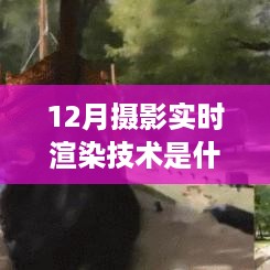 零基础入门指南，12月摄影实时渲染技术解析与探索