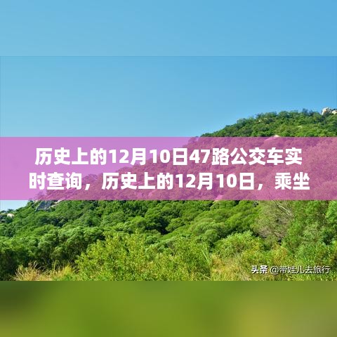 探寻自然秘境，历史上的12月10日乘坐公交车47路的实时之旅