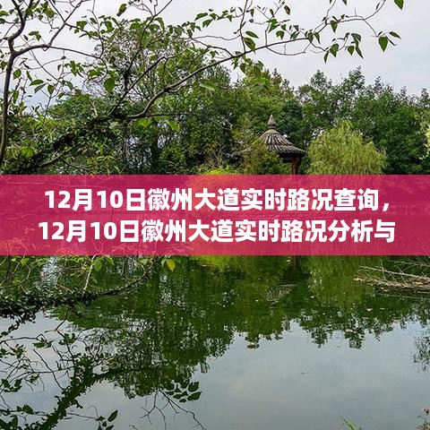 微观视角下的徽州大道实时路况分析与展望，12月10日交通状况解读