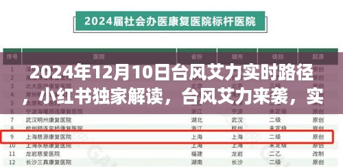 台风艾力来袭，小红书独家解读实时路径与应对指南（2024年12月10日更新）