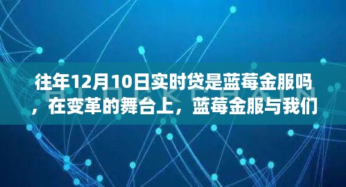 蓝莓金服与实时贷的蜕变之路，十二月十日背后的励志故事