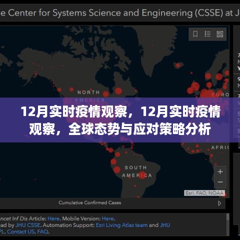 全球疫情态势观察，12月实时疫情动态与应对策略分析