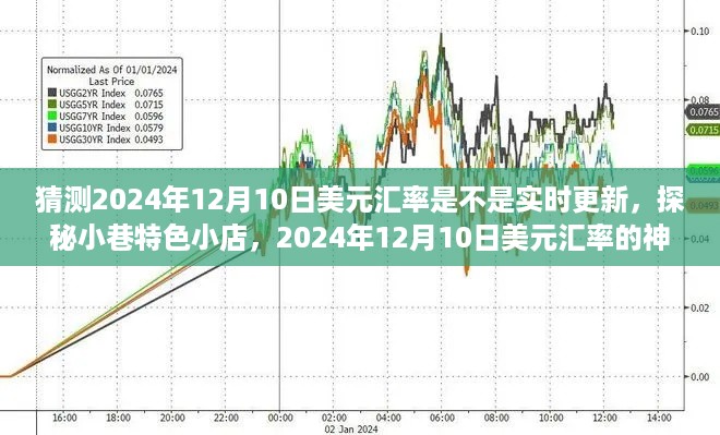 探秘小巷特色小店，揭秘2024年12月10日美元汇率实时更新背后的神秘面纱