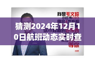 小红书推荐航班动态实时查询app，探索未来飞行体验，预测2024年12月10日航班动态及飞行体验新篇章