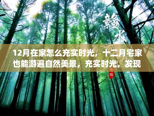 十二月宅家游自然美景，充实时光发现内心平和