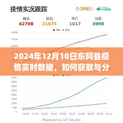 2024年12月10日东阿县疫情实时数据获取与分析指南