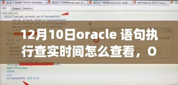 Oracle数据库查询执行时间详解，特性、体验、竞品对比及用户群体分析，查看Oracle语句执行查实时间指南