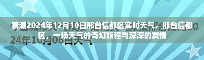 邢台信都区天气的奇幻旅程与友情，预测与记录于2024年12月10日