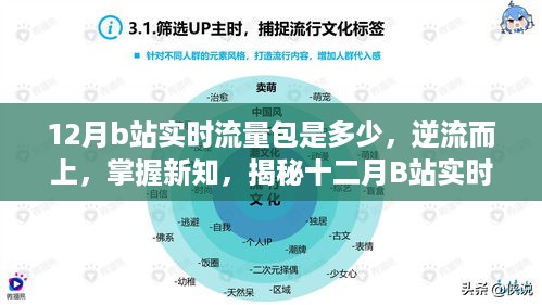 揭秘十二月B站实时流量包的无限可能与逆流而上掌握新知