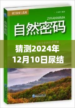 探索未来尿结石奇迹，自然美景之旅与内心的宁静与平和之旅（预测2024年12月10日）