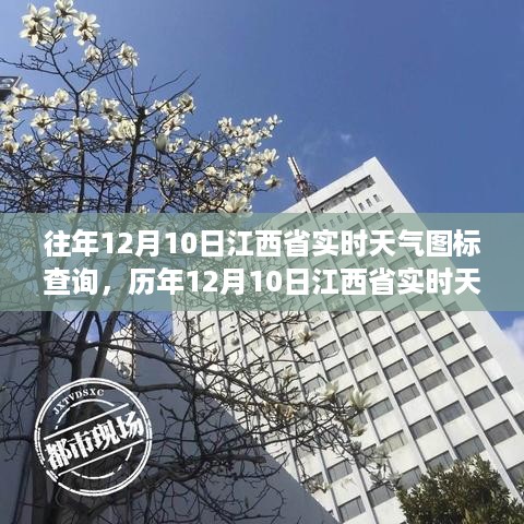 历年与实时对比，江西省风云回顾与影响，12月10日天气图标查询分析