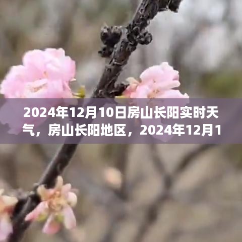 房山长阳地区深度纪实，2024年12月10日实时天气解析