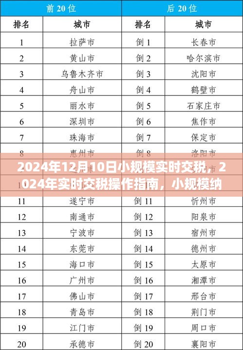 2024年小规模纳税人实时交税操作指南，申报流程详解与实时缴税操作