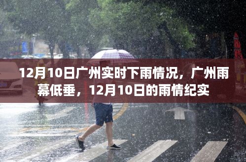 广州实时雨幕纪实，雨情纪实下的广州，12月10日的雨幕低垂