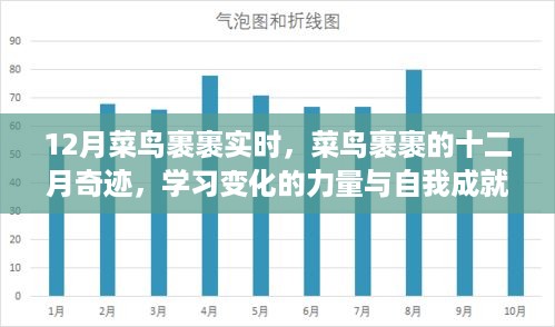 菜鸟裹裹十二月奇迹，学习成长的力量与自我成就的喜悦