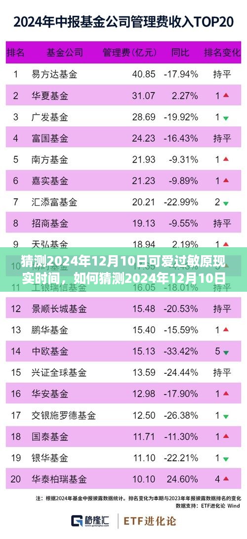 2024年12月10日可爱过敏原现实时间预测，详细步骤指南