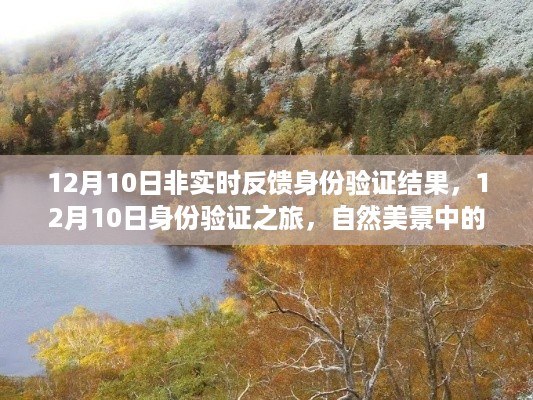 12月10日身份验证之旅，心灵静谧的自然美景探索