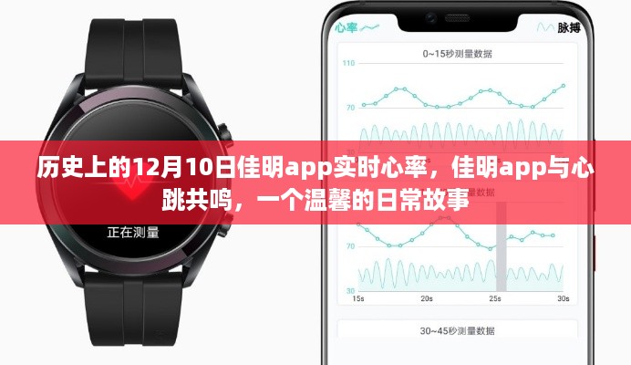 佳明app实时心率，心跳共鸣的温馨日常故事