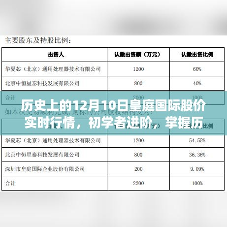 历史皇庭国际股价实时行情解析，初学者进阶指南与查询步骤