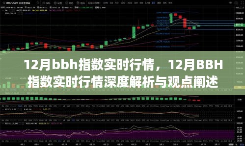 深度解析与观点阐述，12月BBH指数实时行情概览