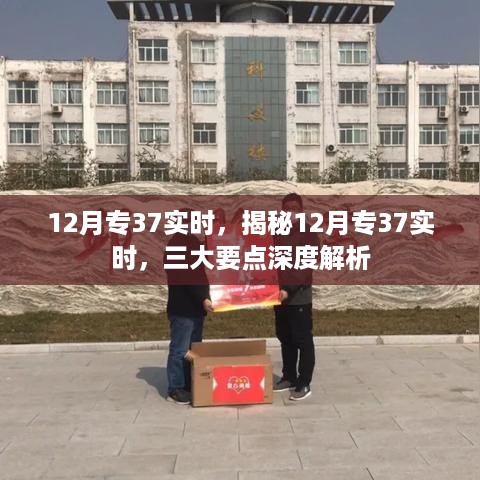 揭秘12月专37实时，三大要点深度解析与实时动态关注