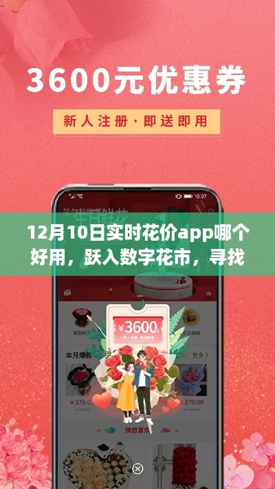 跃入数字花市，寻找最佳花价App，掌握实时花价，自信绽放的季节