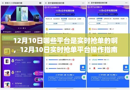 12月10日实时抢单平台操作指南，从零开始教你如何轻松抢单
