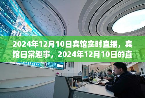 2024年12月10日宾馆直播纪实，日常趣事与直播小记