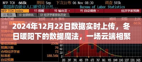 云端相聚的温馨故事，冬日暖阳下的数据魔法实时上传，2024年12月22日纪实