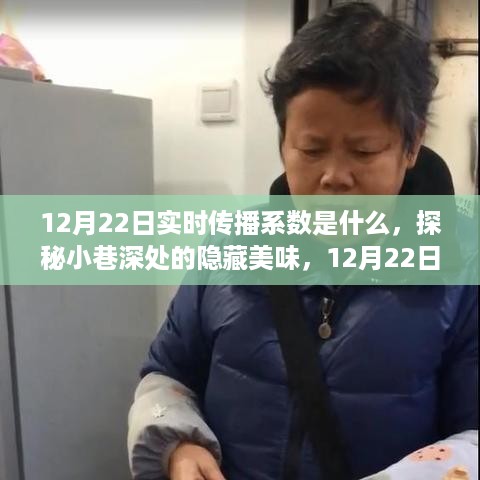 探秘小巷深处的隐藏美味，揭秘12月22日实时传播系数背后的故事