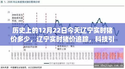 今日辽宁实时猪价追踪，科技引领，掌握最新猪价动态