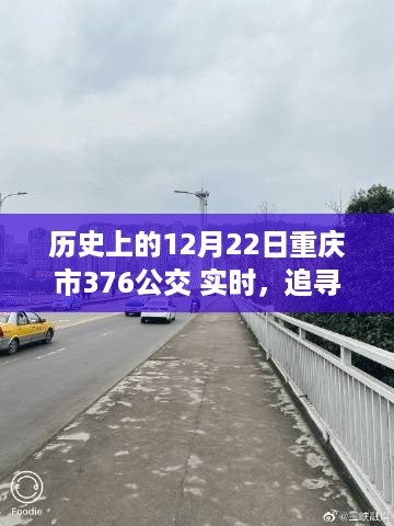 重庆市公交376冬日奇妙旅程，追寻自然美景，发现内心平静之旅